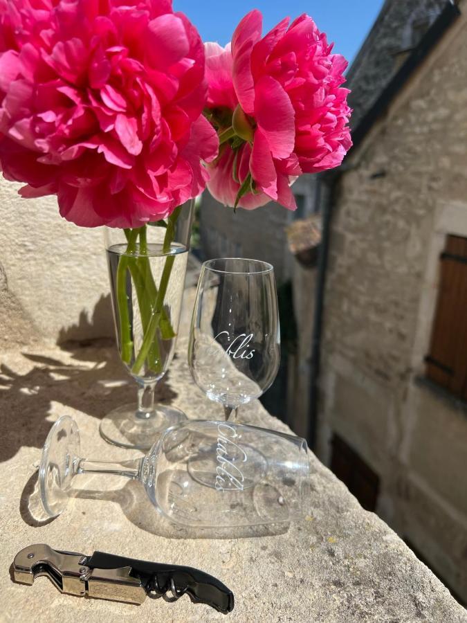 La Maison D'Alienor - Gites De Caractere A Chablis - 89 Экстерьер фото